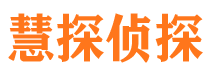 合山市调查公司